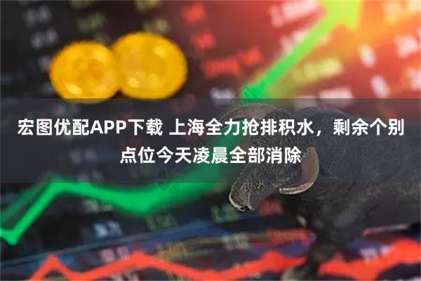 宏图优配APP下载 上海全力抢排积水，剩余个别点位今天凌晨全部消除